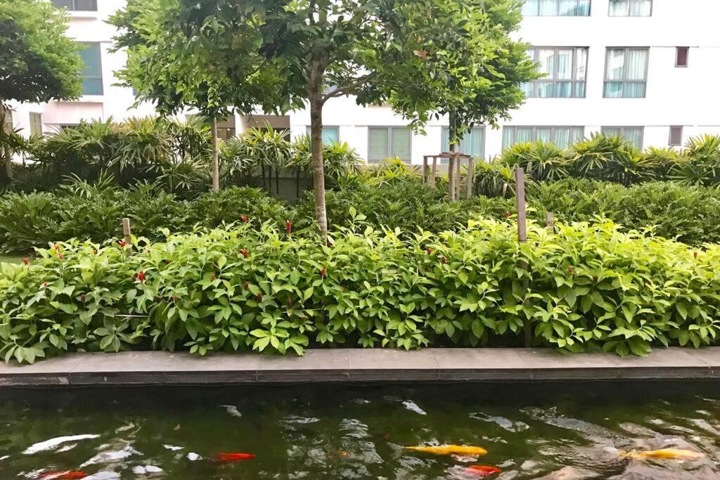 Condo In Imago Mall 亚庇最大商场imago楼里公寓 코타키나발루에서가장큰쇼핑센터아파트 Екстериор снимка